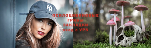скорость mdpv Заводоуковск
